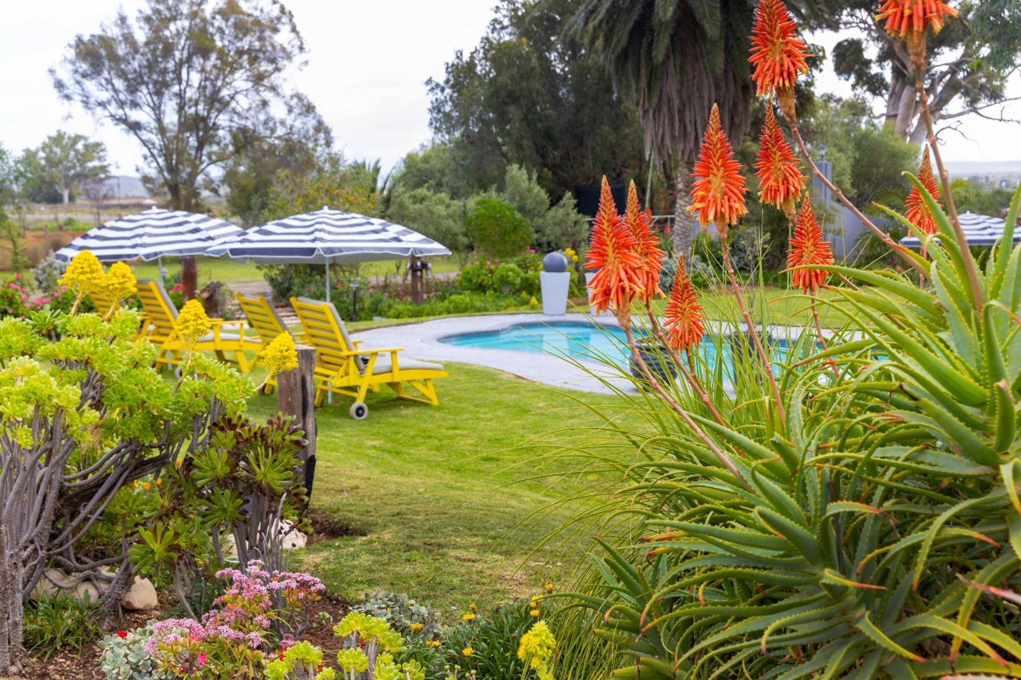 Thylitshia Villa Country Guest House Oudtshoorn Exterior foto